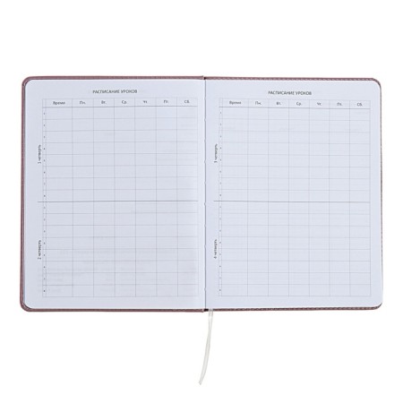 Universal diary for grade 1-11 No Comment, solid cover, artificial leather, foam rubber, silk-screen printing, liesse, 80 g/m2-4