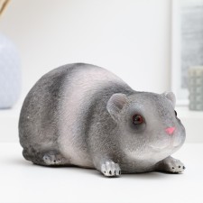 Pig a piggy bank 