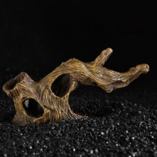 Decor for the Aquarium 