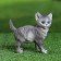 Garden figure "kitten" 13x13x7cm