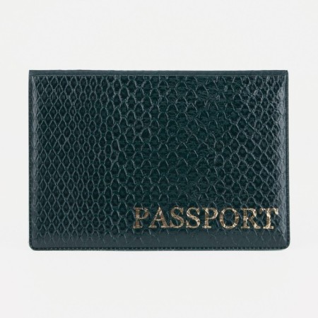 Cover for passport, green color-1