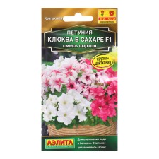 Cranberry petunia seeds in sugar F1 is large -flowered, mixture of soda varieties (dragees in a test tube) is 1022125