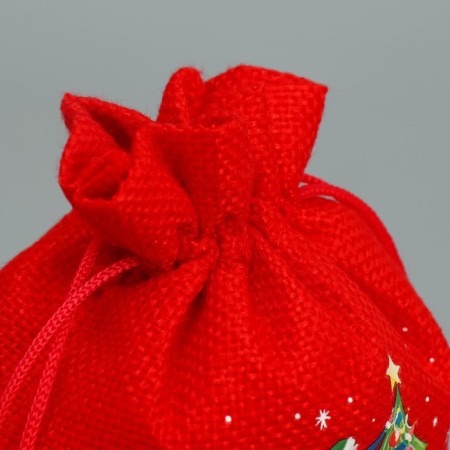 A bag of thermonacle "Care", 13 x18 cm +/- 1.5 cm, New Year-4