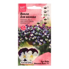 Viola flowers 