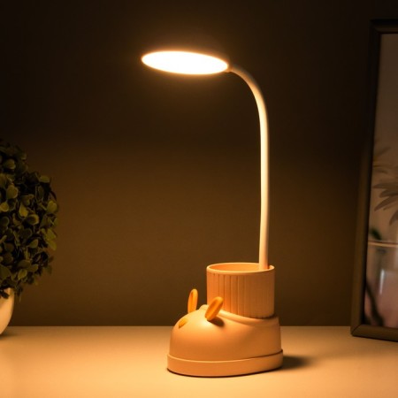 Table lamp "Boat Hare" LED 3 modes 3W USB Organizer Pink 8x11x31 cm Risalux-2