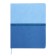 Universal Diary Grade 1-11, 48 sheets "Blue", a solid cover made of artificial leather, pancake embossing, Lasasse