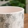 Flower Gloria Gloria Pot White BUY №3 2.79 l