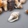 Decorative shells "Nassa" 100 g ± 5 g 0.6-1.2 cm