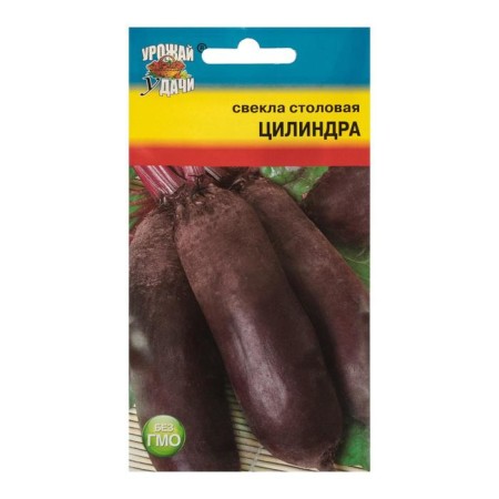 Cylinder beets seeds, 2.5 g