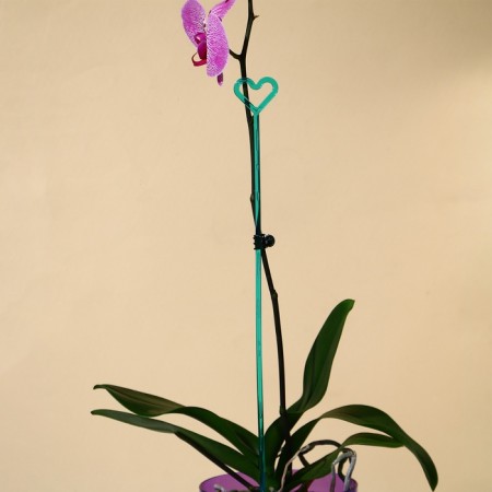 Support for orchids, h = 44 cm, plastic, turquoise, mix-6