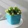 Kashpo with the insert “gloss”, 2.4 l (1.6 l), h = 13.5 cm, the color is turquoise