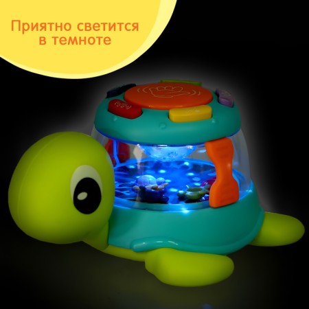 Musical toy "Funny Turtle", sound, light-3