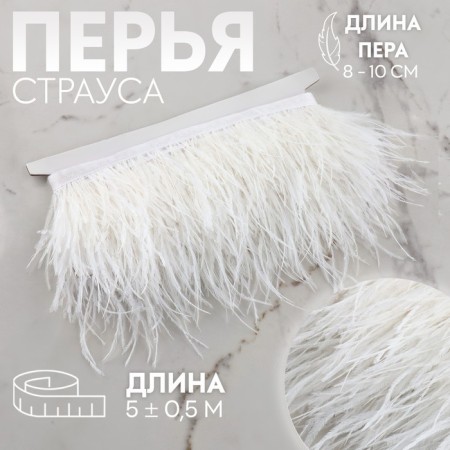 Braid with ostrich feathers, 8-10 cm, 5 ± 0.5 m, white color