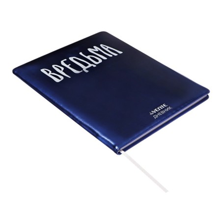 Universal diary for grades 1-11, hard cover, artificial leather, foam rubber, silkography, lies, 80 g/m2-1