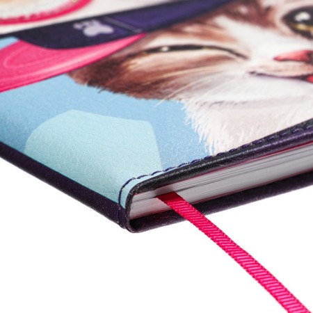 School diary for grades 1-11 Cats, hard cover with artificial leather foam, PVC applique, 48 sheets, OFSET 80G/m2, universal cheat sheet-2