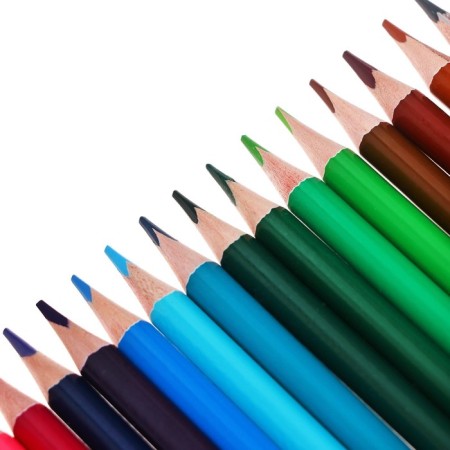 Pencils 24 colors TOP Calligrata, in a cardboard box, neck diameter - 3mm, 5b-4