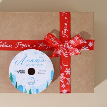 Decorative satin ribbon “Happy New Year and Merry Christmas!”, 2 cm × 5 m-3