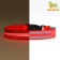 Collar with backlight double strip size S, Osh 35-43 x 2.5 cm, 3 glow modes Red 9772224