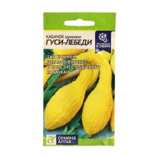 Semen zucchini 
