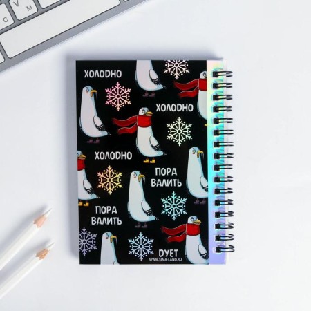 Gift set: a holographic notebook and cover "I think it's time to bring down to the south"-4