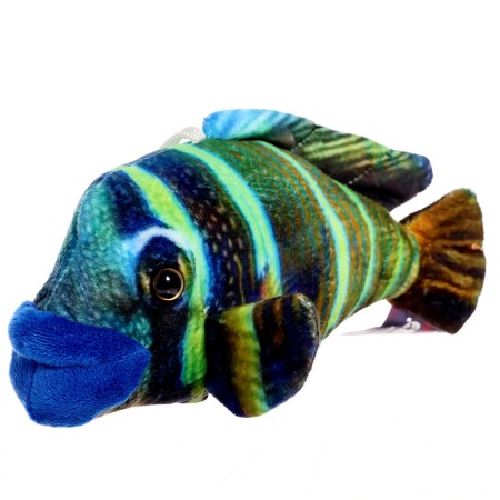 Soft toy "Fish Napoleon Mini", 16 cm