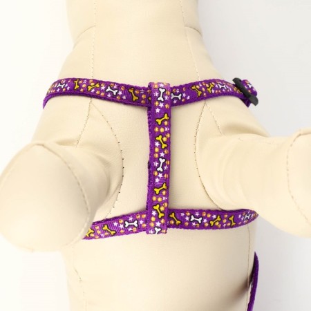 Set "Star Bones", leash 120 x 1 cm, fire 23-35 cm, purple-4