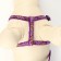 Set "Star Bones", leash 120 x 1 cm, fire 23-35 cm, purple