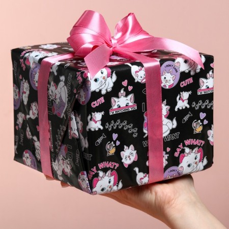 Package paper, cats aristocrats, 70x100 cm-5