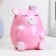 Piggy bank "Bear with the crown" pink, 17cm