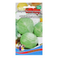 Cabbage seeds 