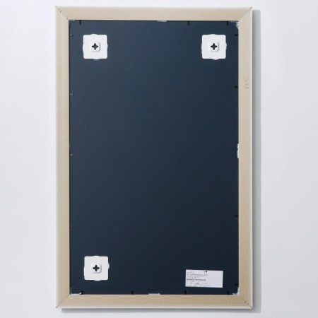 Mirror 850x550mm, wall, in the baguette-2