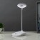 Sensory table lamp 16749/1 LED 2W 6000K USB AKB White 13x11x39 cm Risalux
