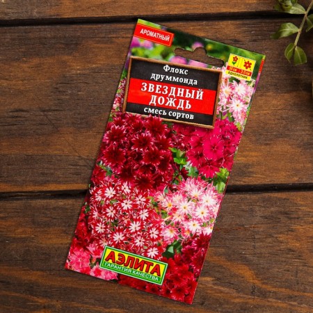 A set of flowers "flowering in the fall"-7
