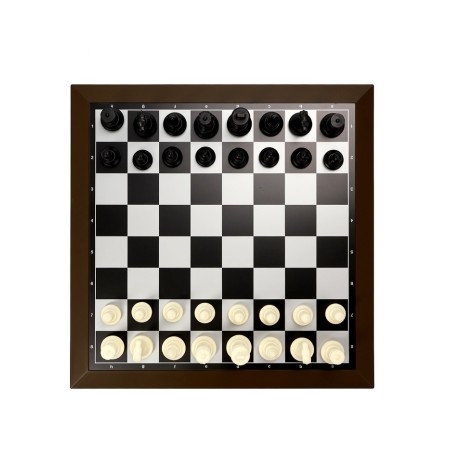 Magnetic chess 39 x 39 cm, King H-8 cm, Pig H-4.3 cm-1