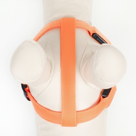 Shleka luminous size l, sling 2.5 cm, og 43-60 cm, 3 orange glow modes 97722-5
