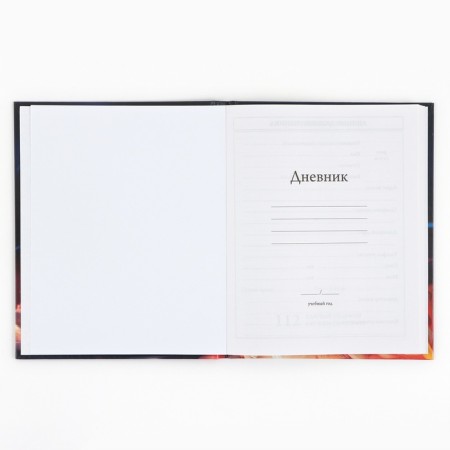 School Diary of 1-4 class, in a solid cover, 48 liters "September 1: Red Kitten"-2