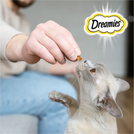 Dreamies treat for cats, salmon/cheese, 60 g-6