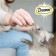 Dreamies treat for cats, salmon/cheese, 60 g