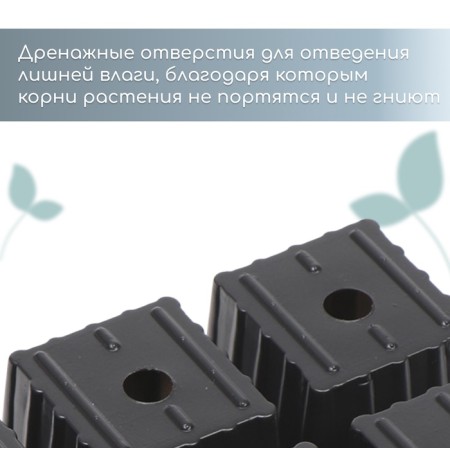 Cassette for seedlings, 6 cells of 120 ml, set of 5 pcs., Black-6