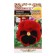 Empire's eyes "Empire", F2, series "Russian size", 12 pcs.