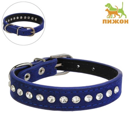 Collar "velvet and rhinestones", 31 x 1.3/2 cm, Osh 22-28 cm, blue