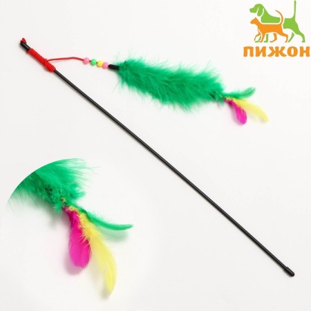 Domestico-pitch with feathers, downy tail and beads, green