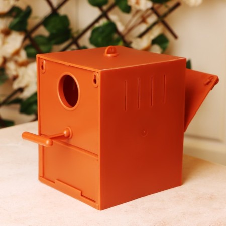 House for parrots mix flowers