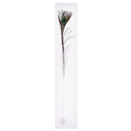 Feather Pavlin for decor, size - from 90 to 100 cm-8