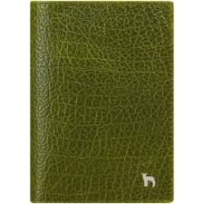 Cover for passport, green color