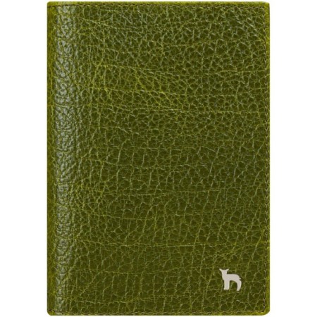 Cover for passport, green color
