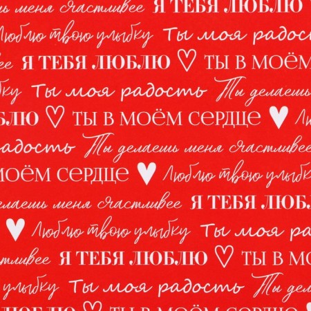 Paper Glossy double -sided "for you", 70 x 100 cm-2
