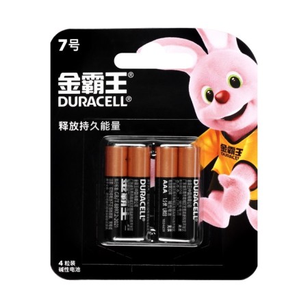 Alkalin battery Duracell Basic (CH), AAA, LR03-4BL, 1.5V, blister, 4 pcs.-2