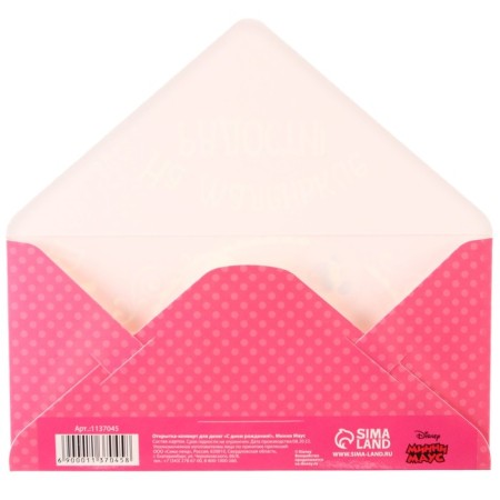 Money envelope, 17 x 8.5 cm "Happy Birthday", Minnie Mouse-3