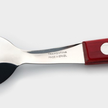 Teaspoon Tramontina Polywood, chestnut color-2